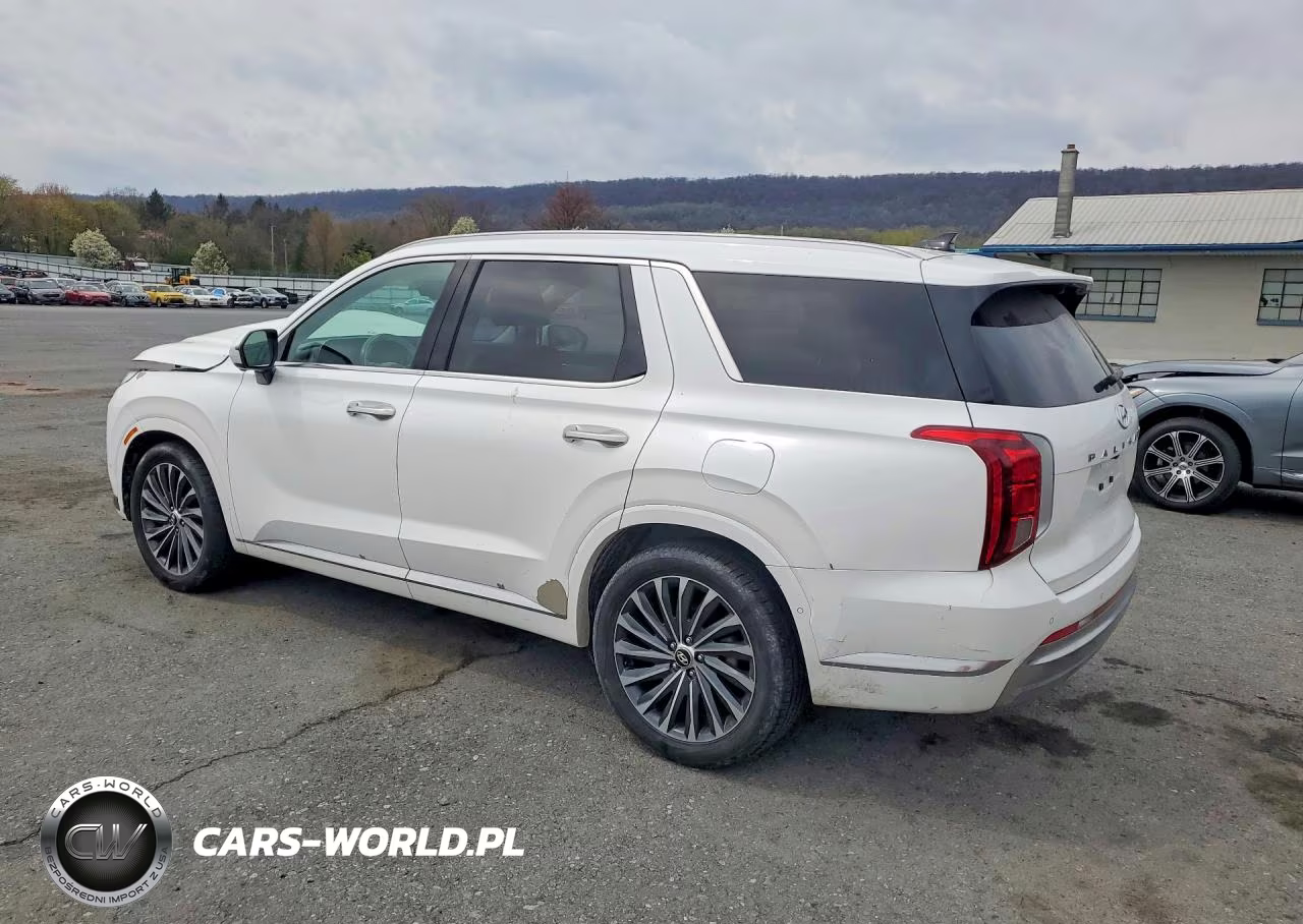 2023 Hyundai Palisade Calligraphy VIN:KM8R7DGEXPU540014 - 2