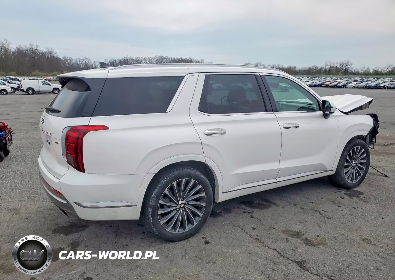 2023 Hyundai Palisade Calligraphy VIN:KM8R7DGEXPU540014 - 3