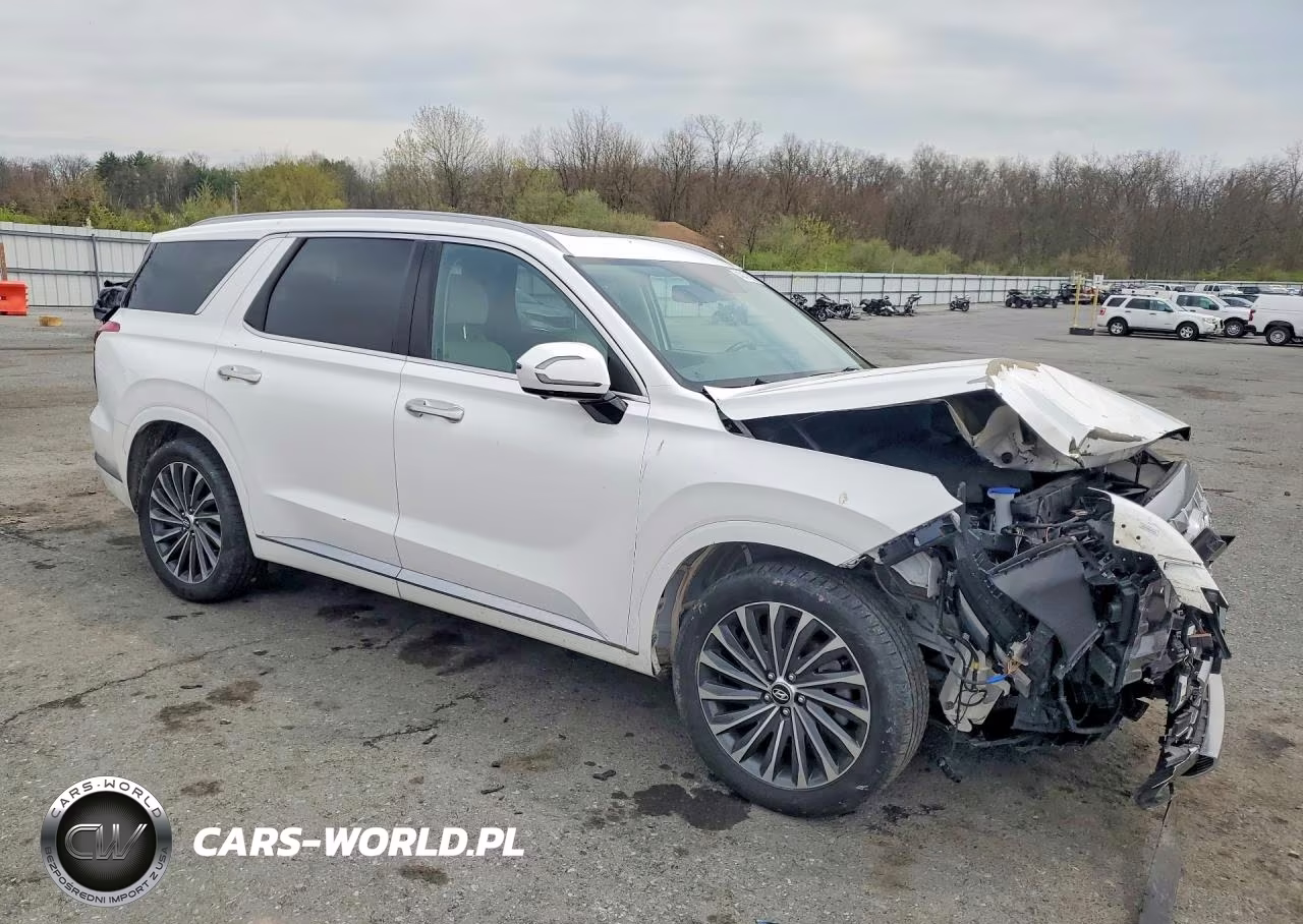 2023 Hyundai Palisade Calligraphy VIN:KM8R7DGEXPU540014 - 4