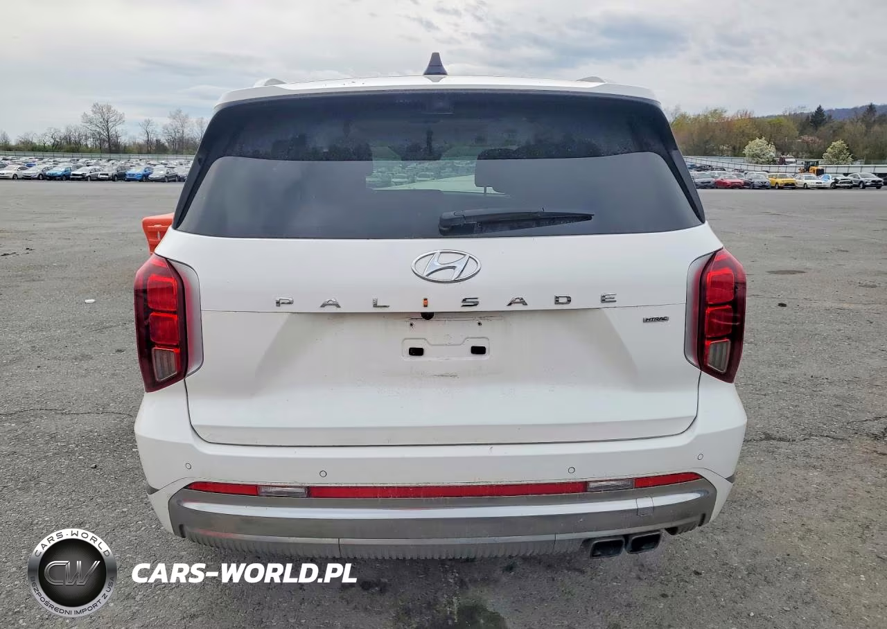 2023 Hyundai Palisade Calligraphy VIN:KM8R7DGEXPU540014 - 6