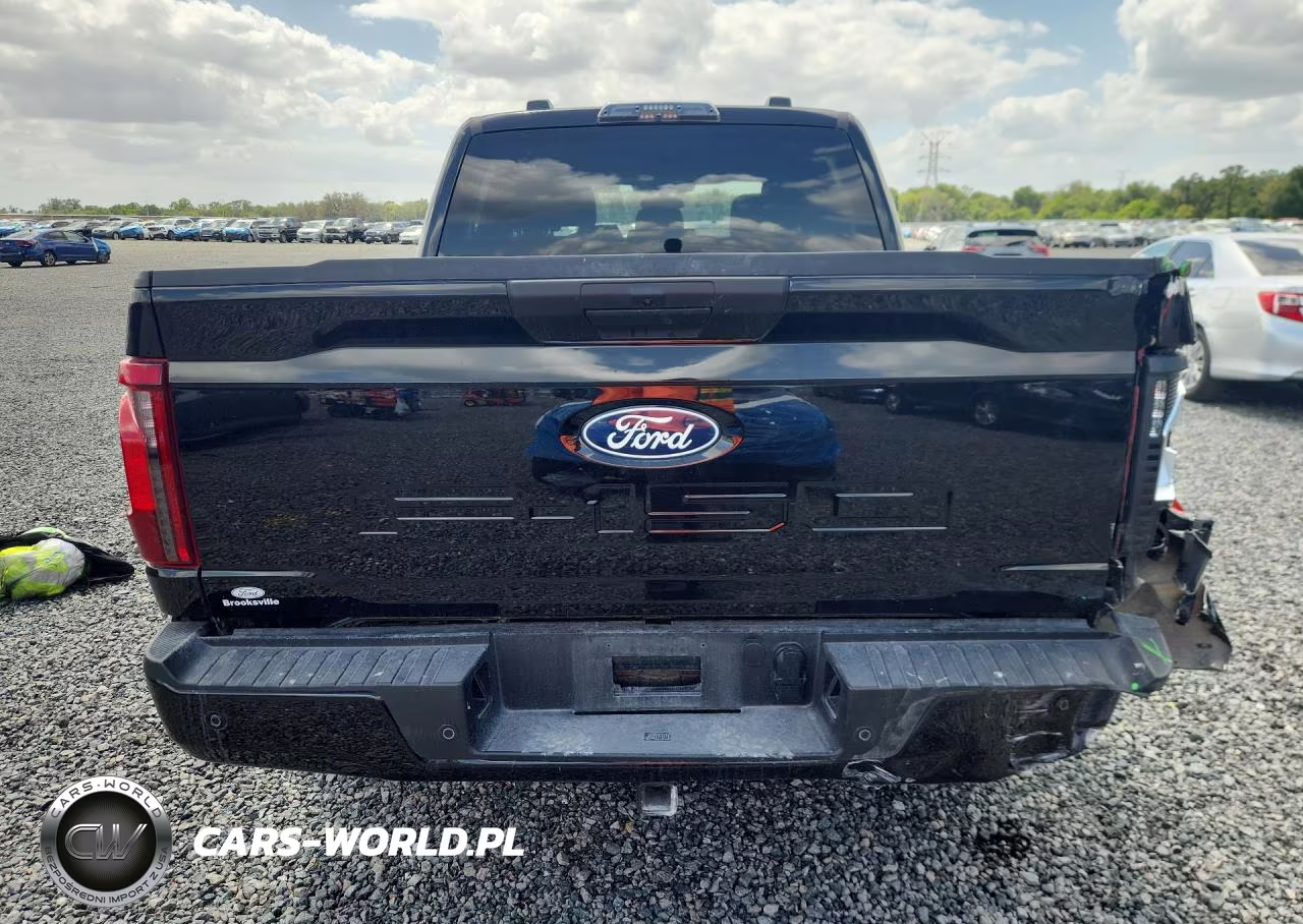 2025 Ford F150 Stx VIN:1FTEW2KP1SKD59486 - 6