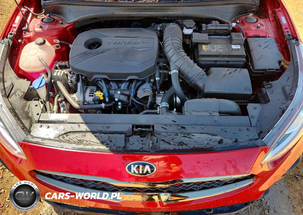 2021 Kia Forte Gt VIN:3KPF44AC7ME324090 - 11