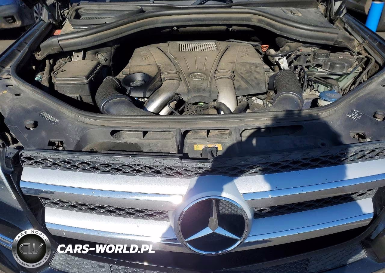 2013 Mercedes-Benz Gl 450 4Matic VIN:4JGDF7CE3DA132553 - 12