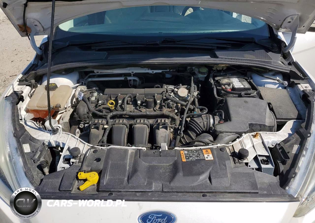 2016 Ford Focus Titanium VIN:1FADP3N2XGL332681 - 11