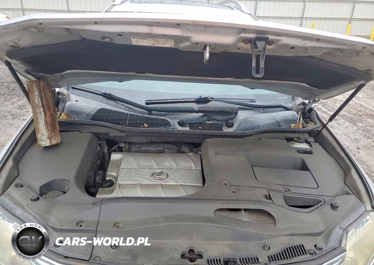 2010 Lexus Rx 350 VIN:JTJZK1BAXA2001138 - 12