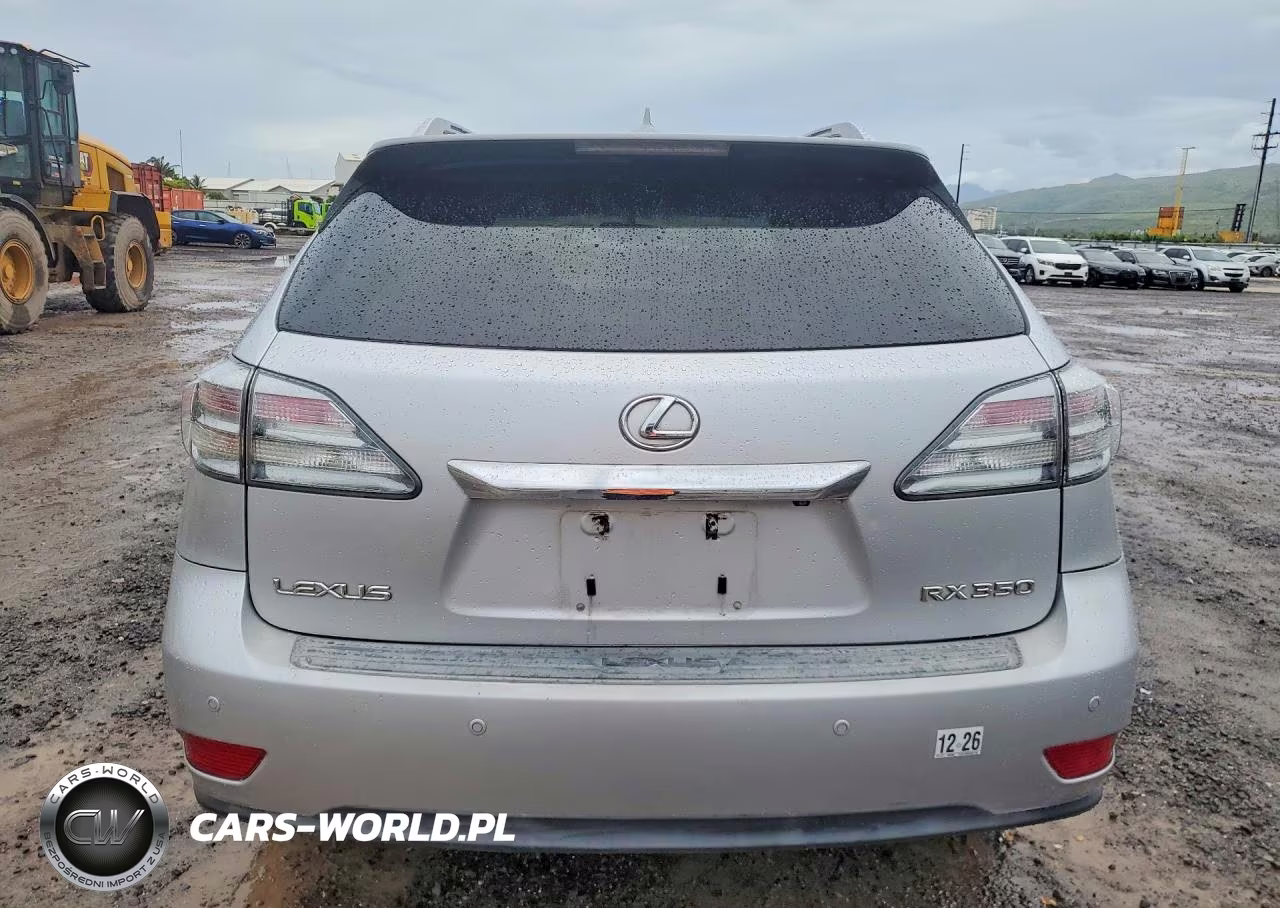 2010 Lexus Rx 350 VIN:JTJZK1BAXA2001138 - 6