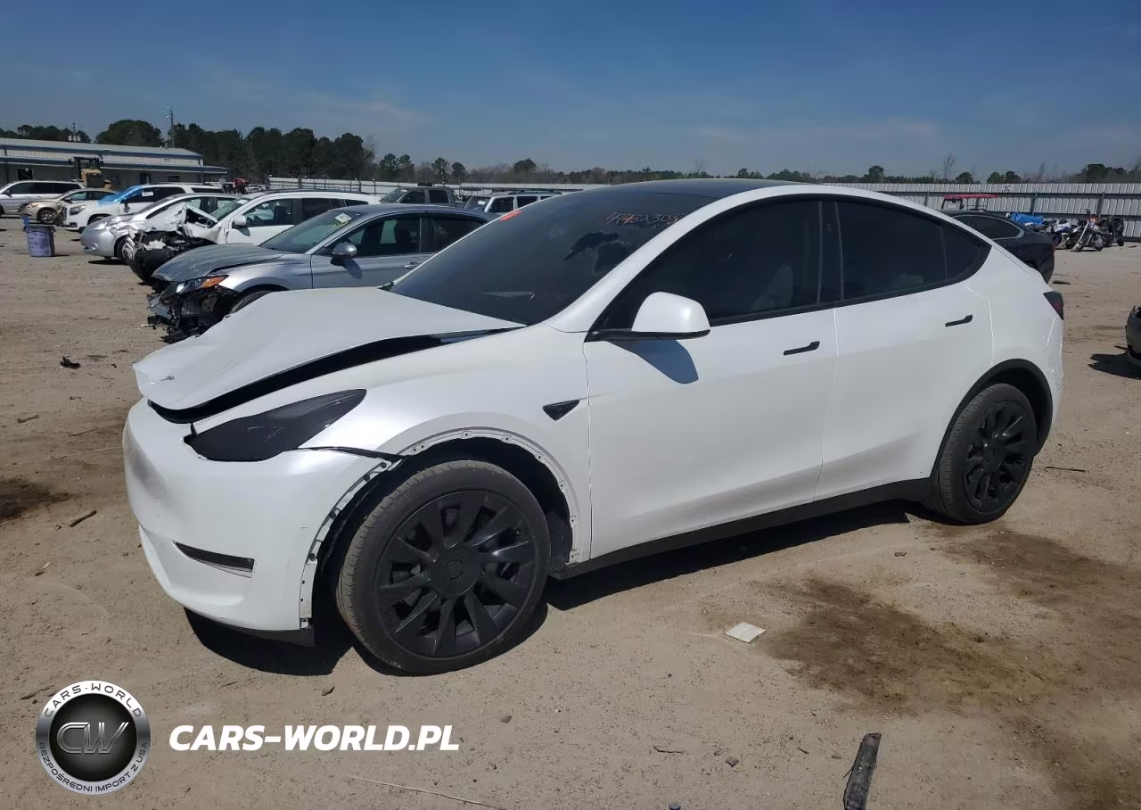 2024 Tesla Model Y