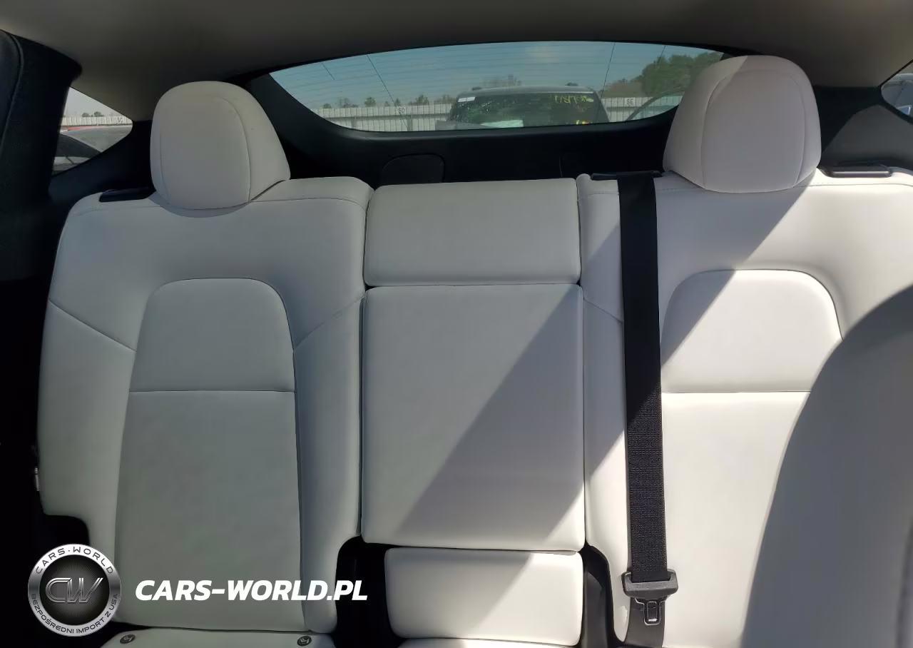 2024 Tesla Model Y VIN:7SAYGDEE9RA220049 - 10