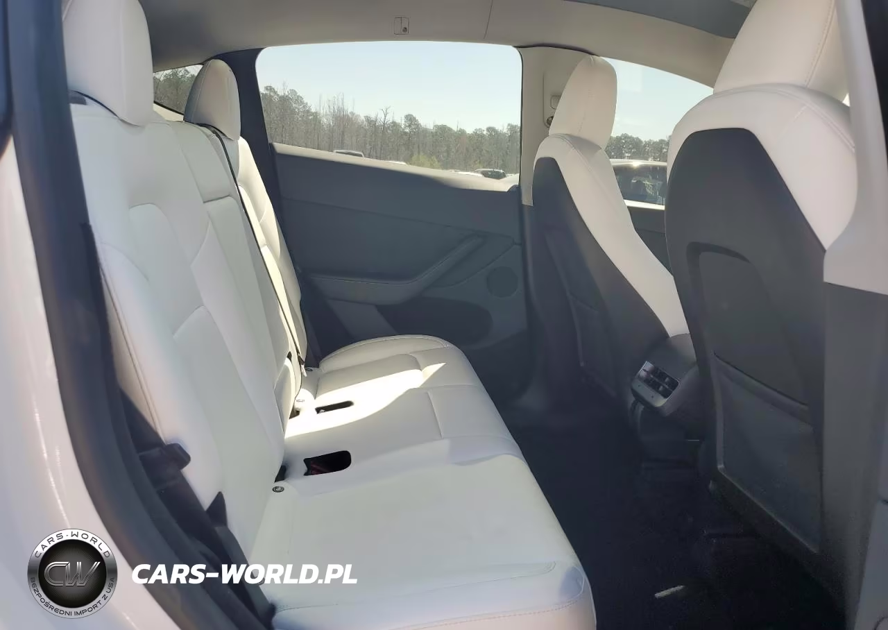 2024 Tesla Model Y VIN:7SAYGDEE9RA220049 - 11