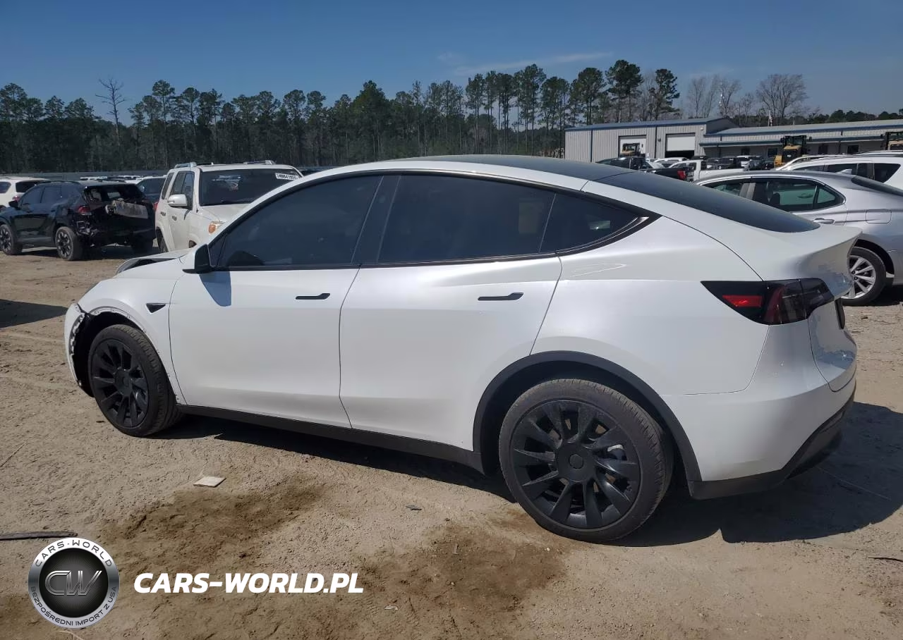 2024 Tesla Model Y VIN:7SAYGDEE9RA220049 - 2