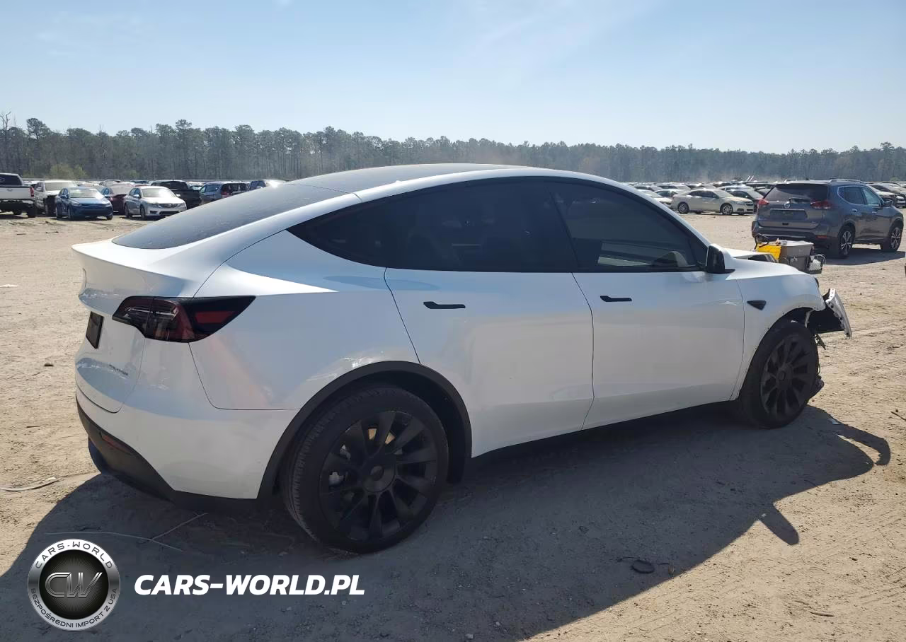 2024 Tesla Model Y VIN:7SAYGDEE9RA220049 - 3
