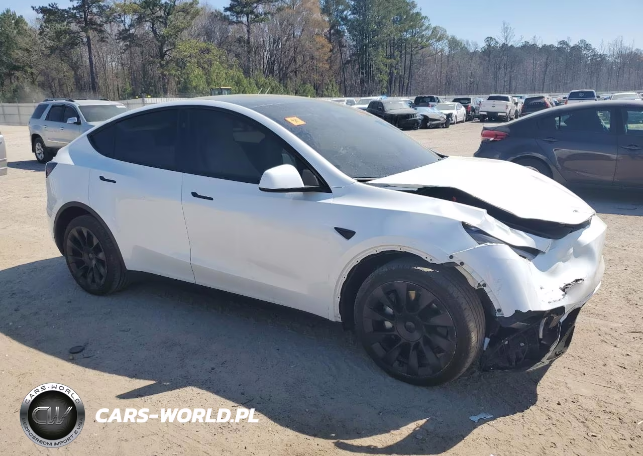 2024 Tesla Model Y VIN:7SAYGDEE9RA220049 - 4