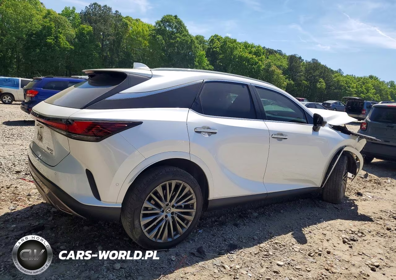 2024 Lexus Rx 350 Luxury VIN:2T2BAMCA6RC047095 - 3