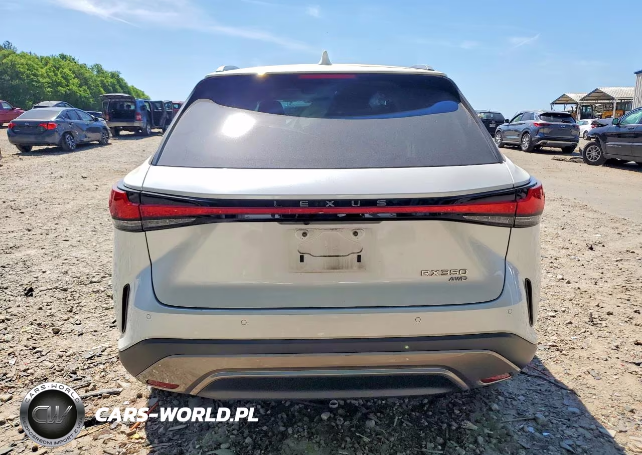 2024 Lexus Rx 350 Luxury VIN:2T2BAMCA6RC047095 - 6