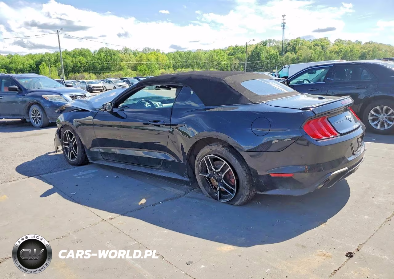 2019 Ford Mustang VIN:1FATP8UH3K5188404 - 2