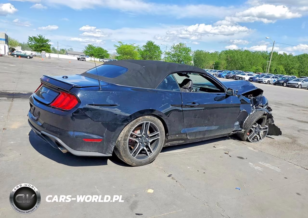 2019 Ford Mustang VIN:1FATP8UH3K5188404 - 3