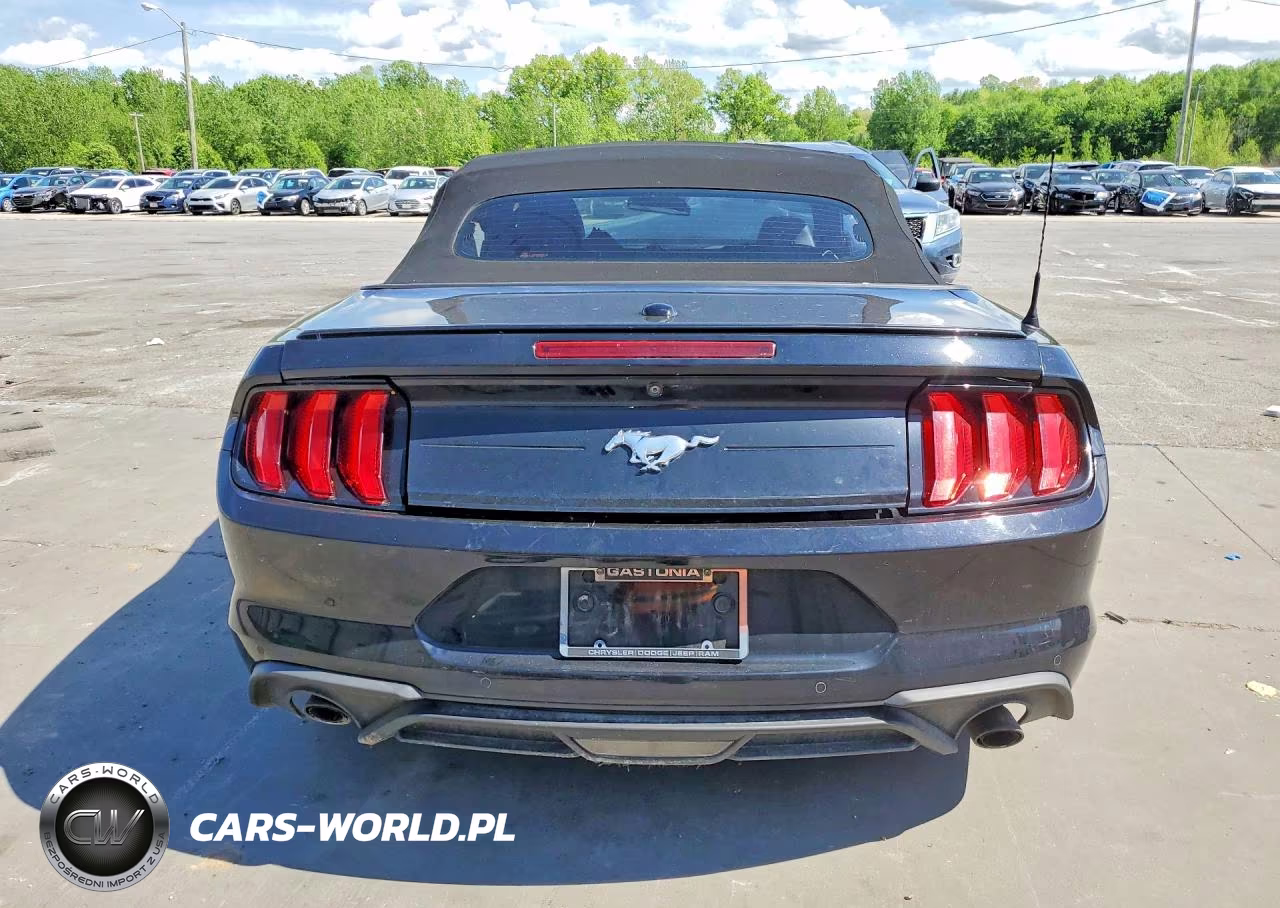 2019 Ford Mustang VIN:1FATP8UH3K5188404 - 6