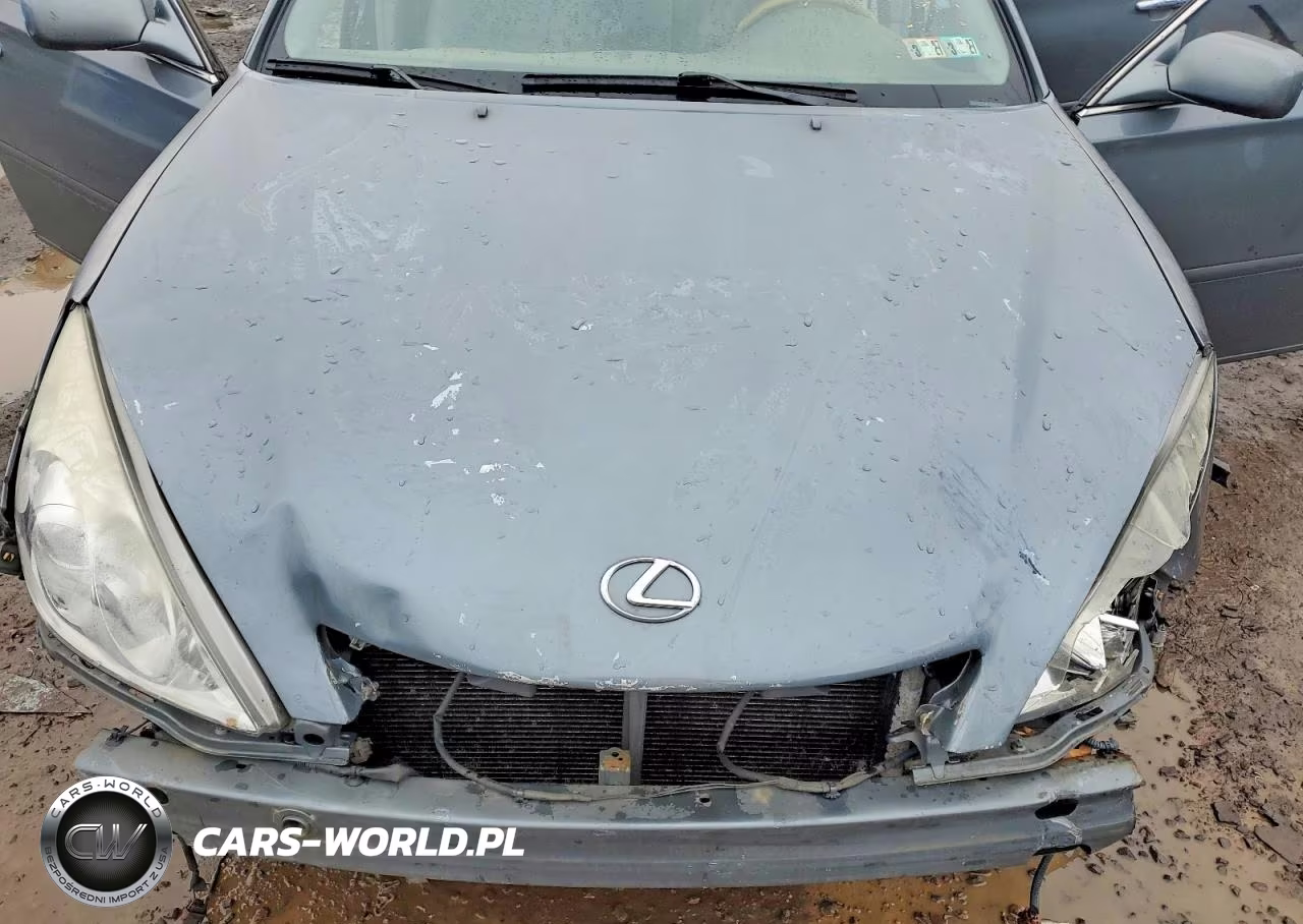 2006 Lexus Es 330 Base VIN:JTHBA30G865162943 - 11