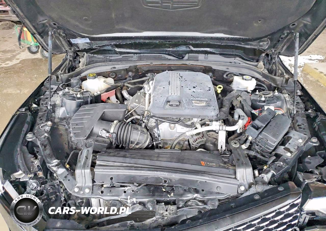 2022 Cadillac Ct4 Luxury VIN:1G6DJ5RK1N0117760 - 11