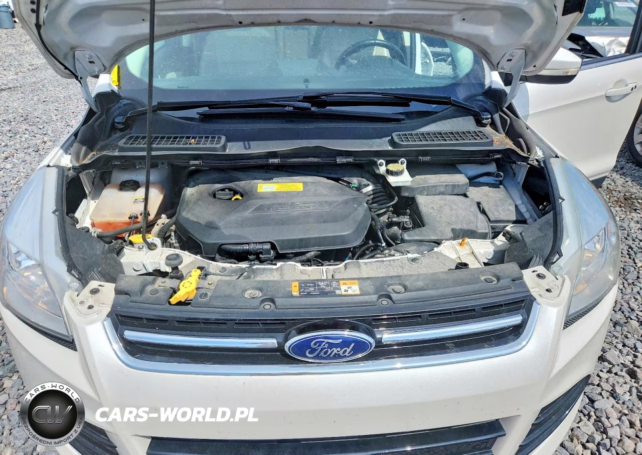 2013 Ford Escape Sel VIN:1FMCU0HX5DUD77016 - 11