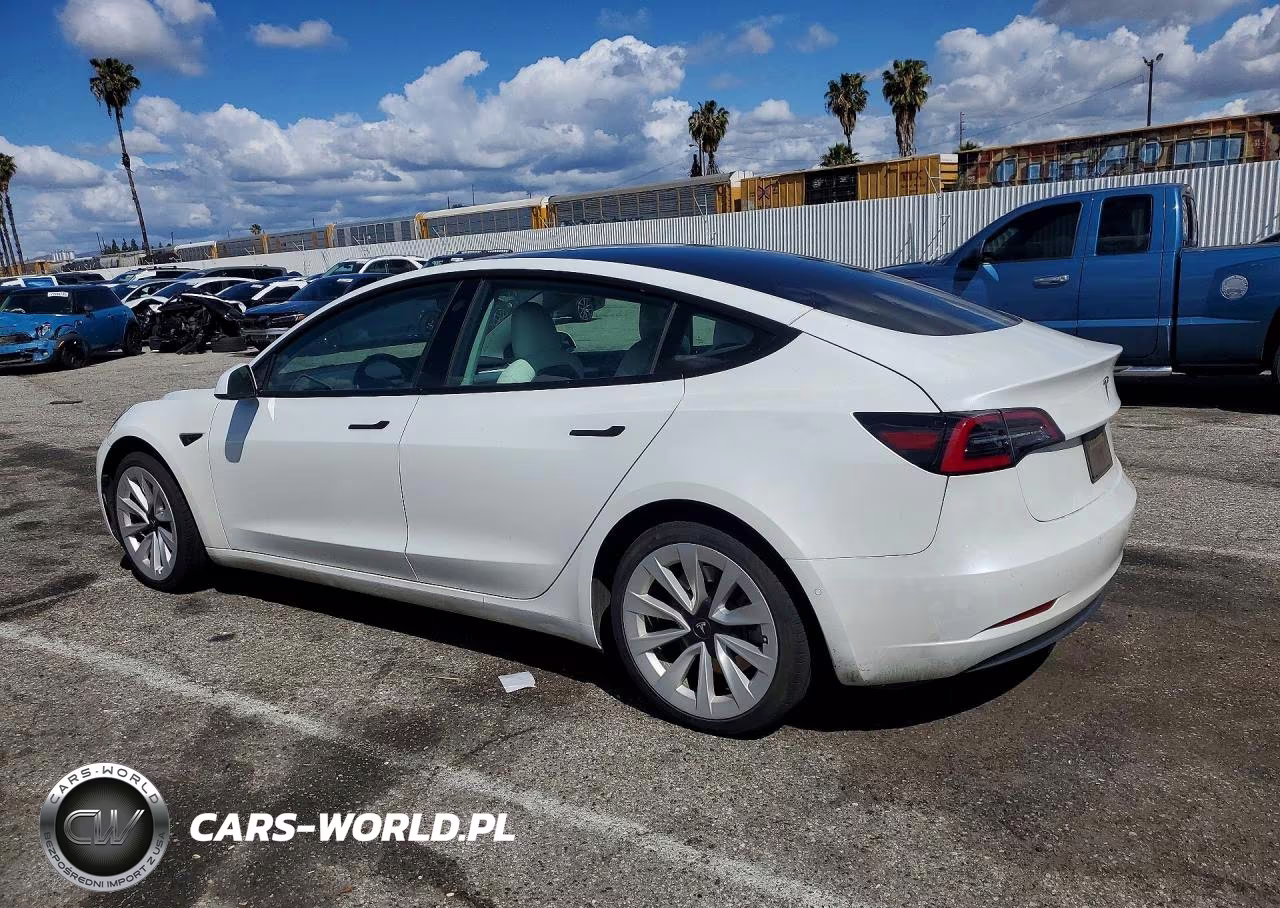 2021 Tesla Model 3 VIN:5YJ3E1EA9MF983113 - 2