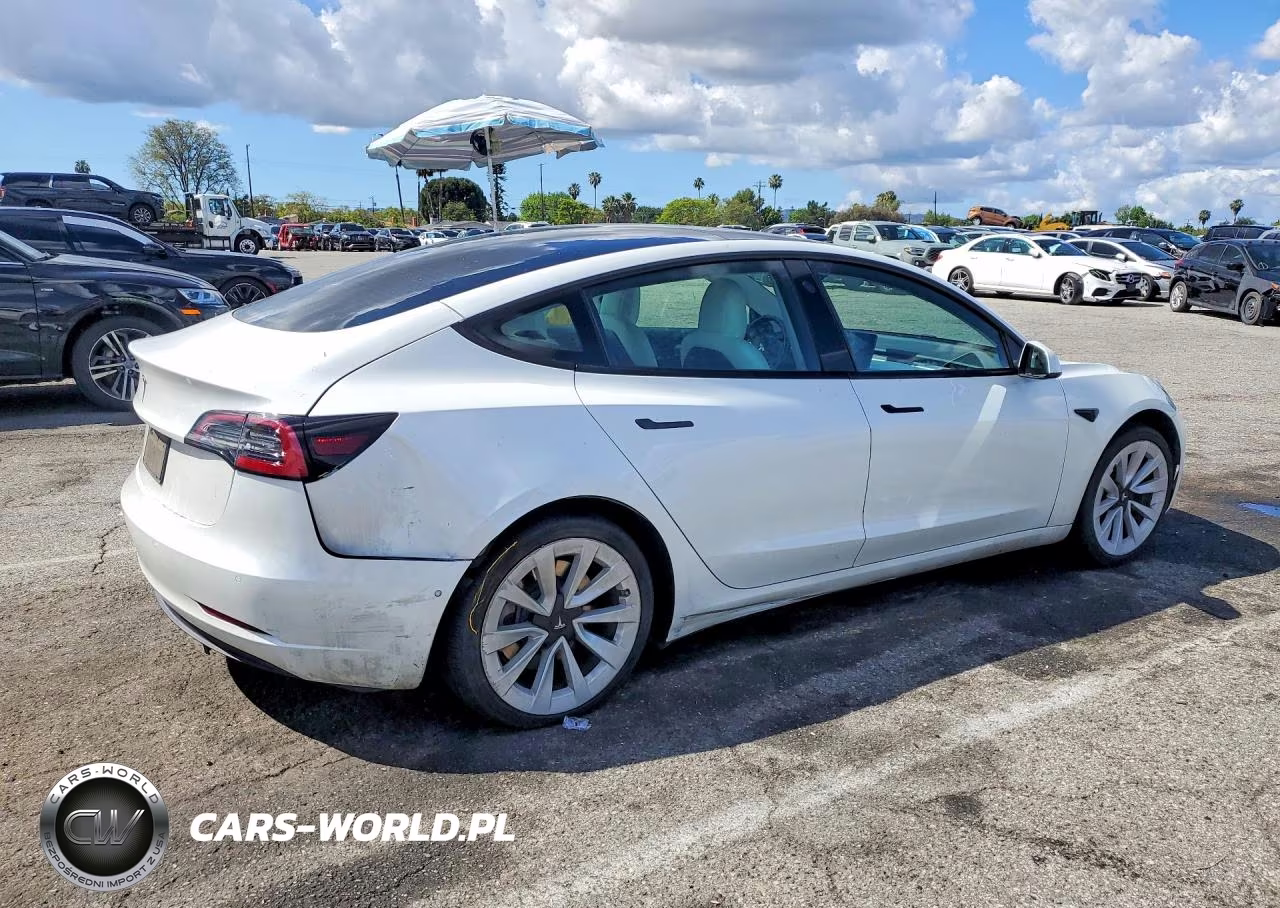 2021 Tesla Model 3 VIN:5YJ3E1EA9MF983113 - 3
