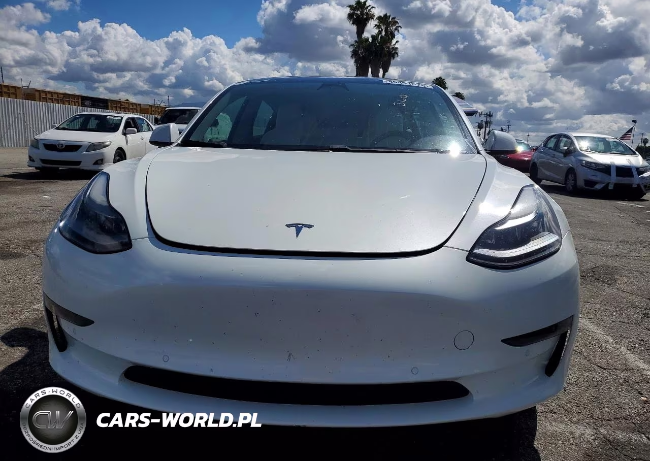 2021 Tesla Model 3 VIN:5YJ3E1EA9MF983113 - 5