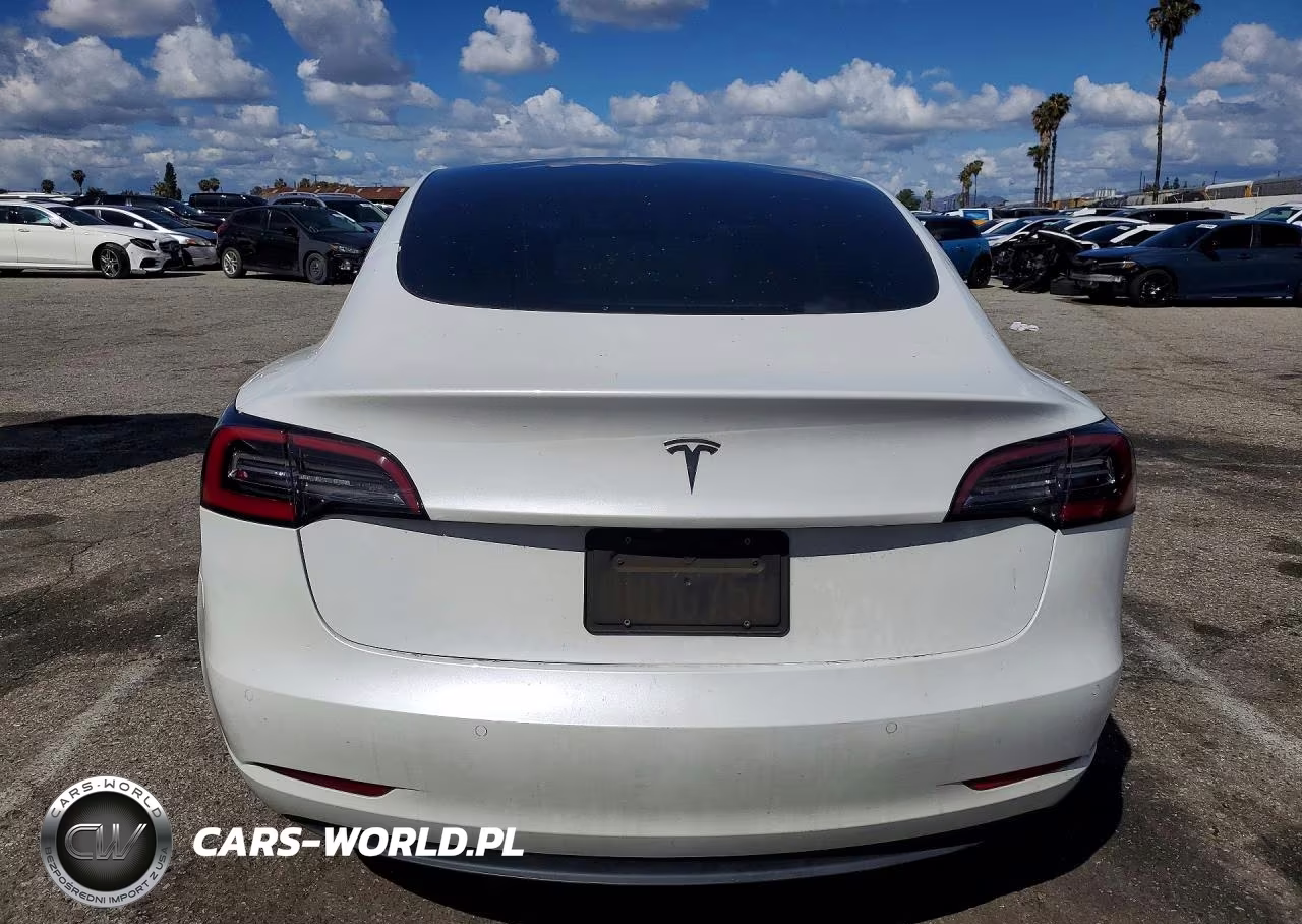 2021 Tesla Model 3 VIN:5YJ3E1EA9MF983113 - 6