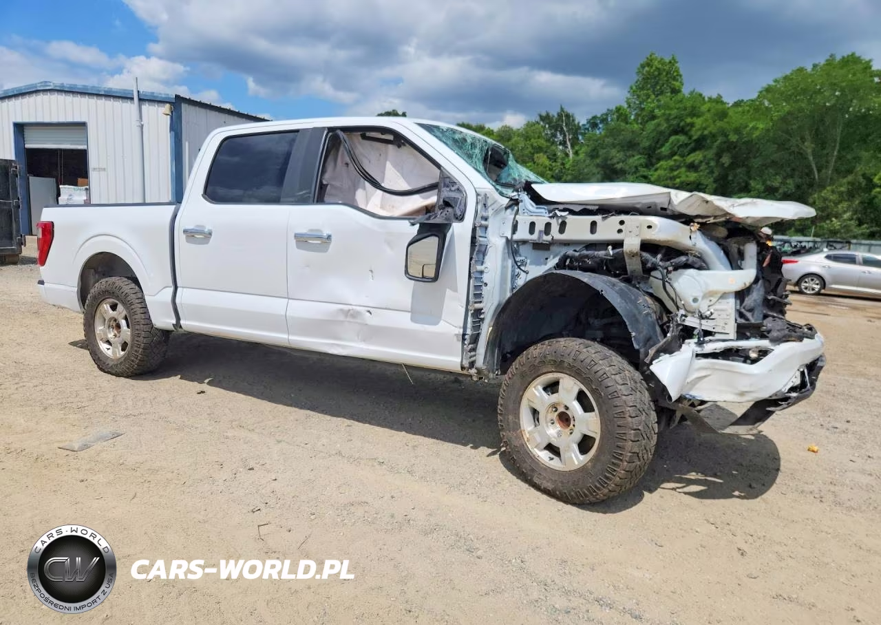 2021 Ford F150 Supercrew VIN:1FTEW1CP4MFB93517 - 4