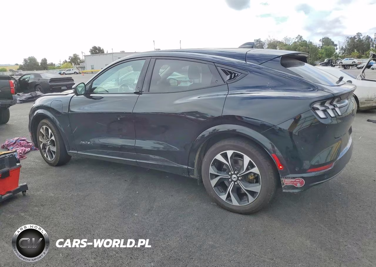 2023 Ford Mustang Mach-E Premium VIN:3FMTK3R74PMB03448 - 2