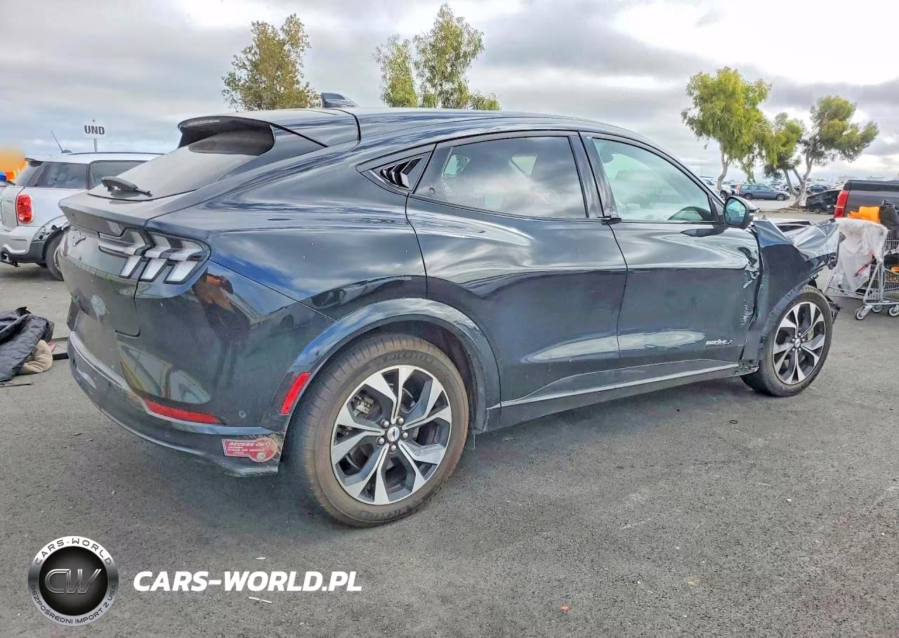 2023 Ford Mustang Mach-E Premium VIN:3FMTK3R74PMB03448 - 3