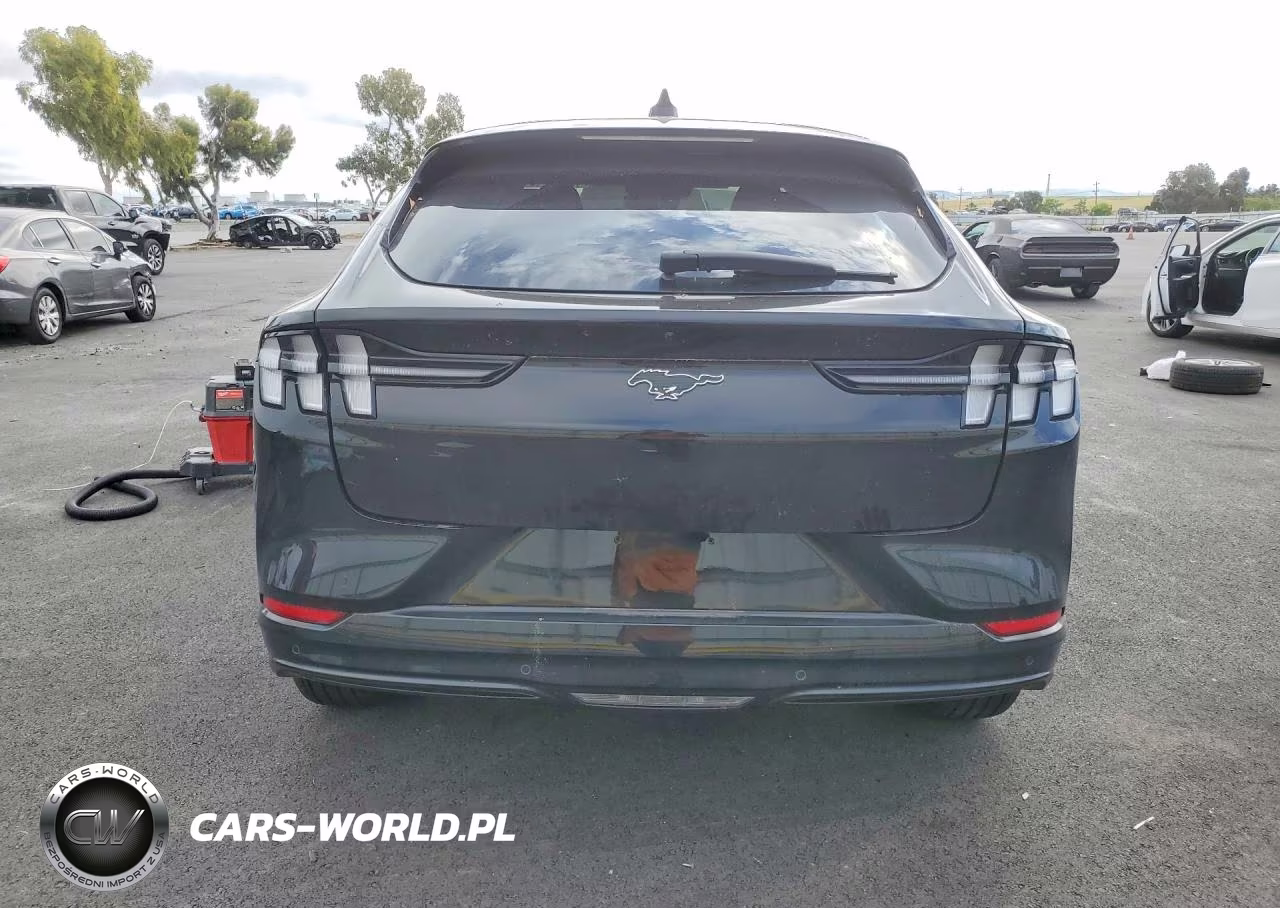 2023 Ford Mustang Mach-E Premium VIN:3FMTK3R74PMB03448 - 6