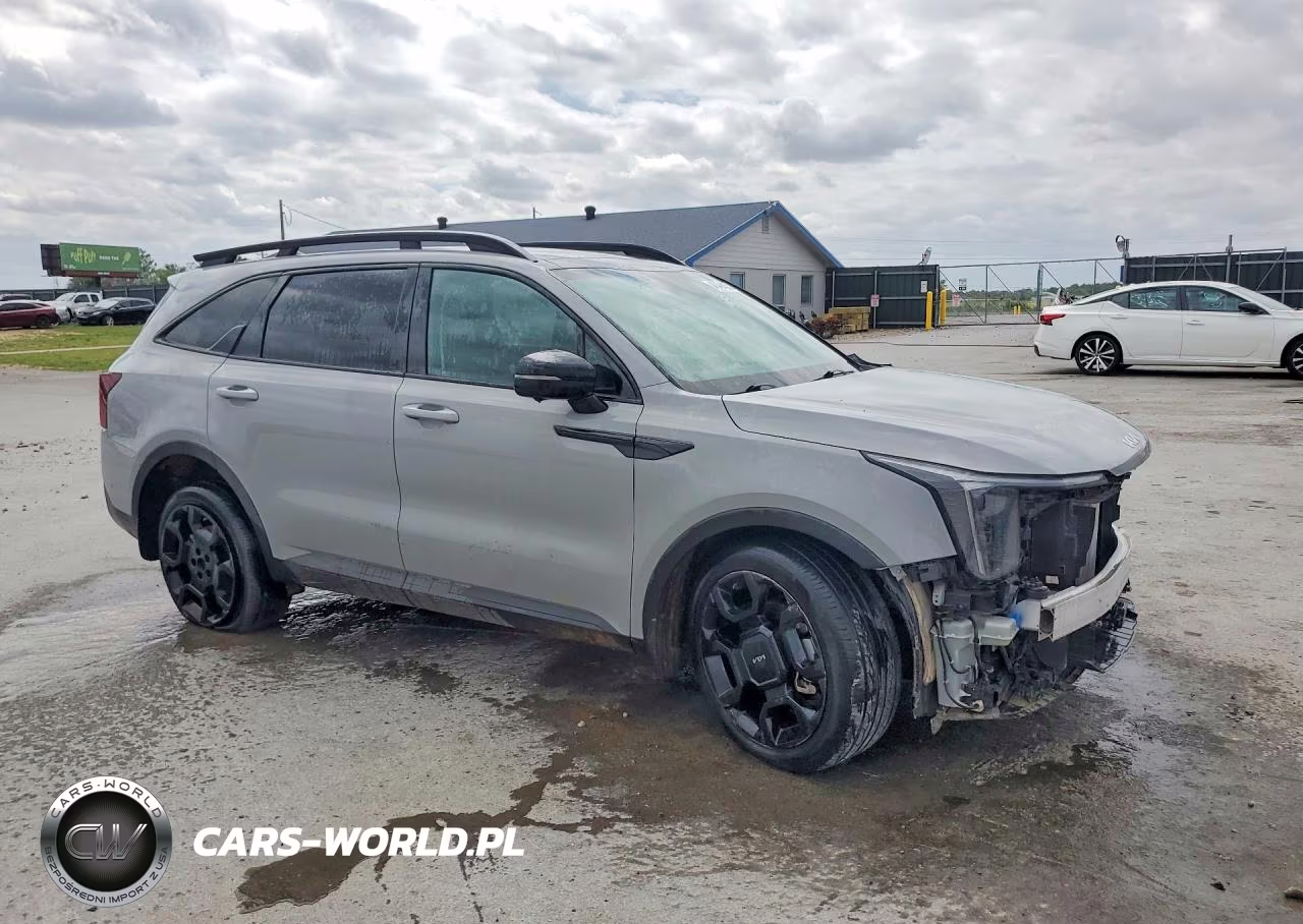 2024 Kia Sorento X-Line Sx VIN:5XYRKDJF0RG279274 - 4