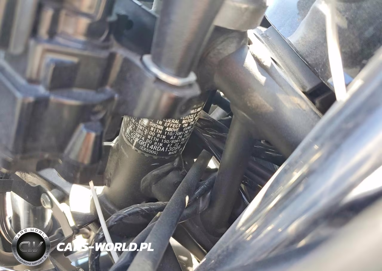 2024 Kawasaki Ex500 VIN:ML5EXGG14RDA13099 - 9
