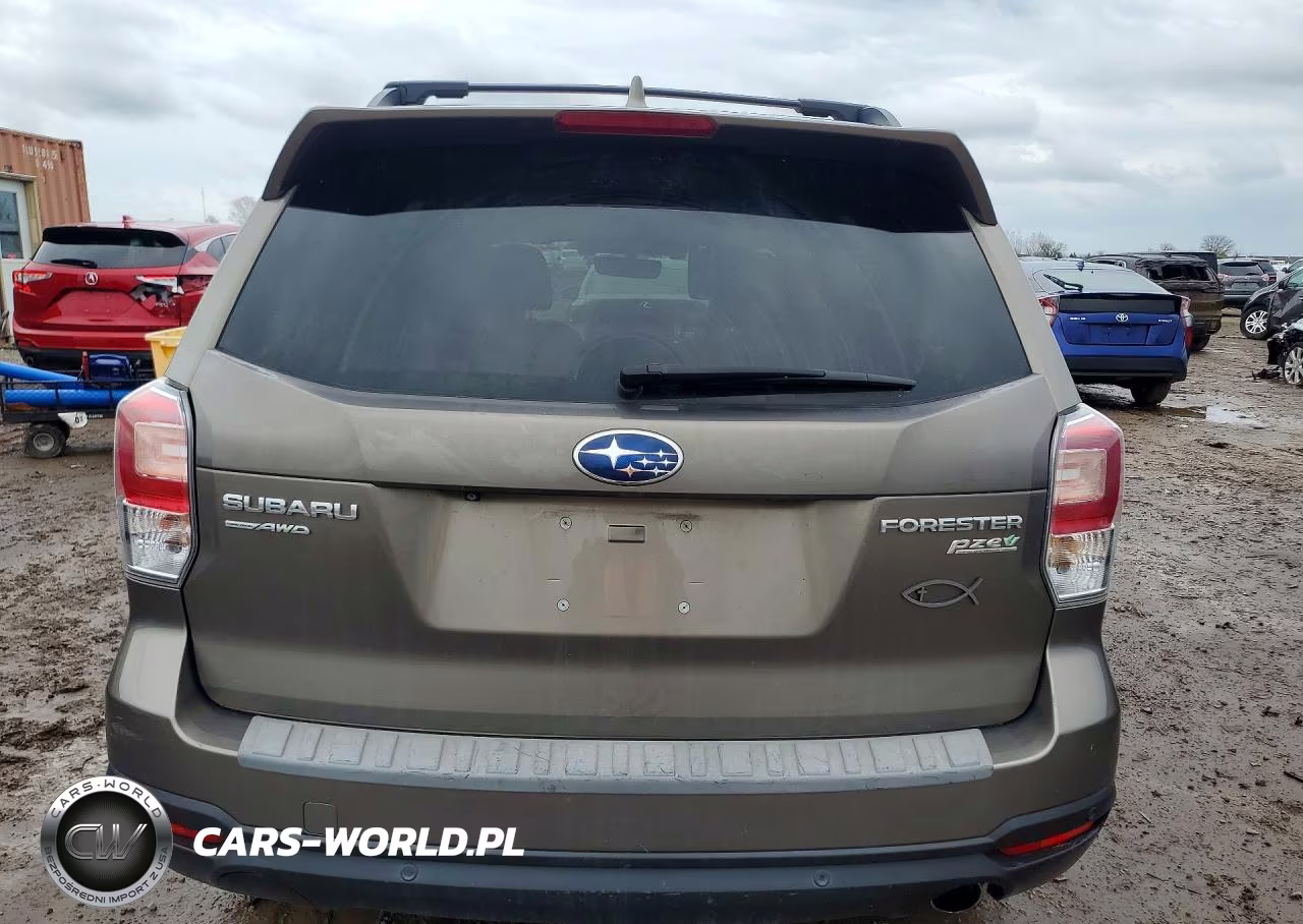 2017 Subaru Forester 2.5I Touring VIN:JF2SJAWCXHH547496 - 6