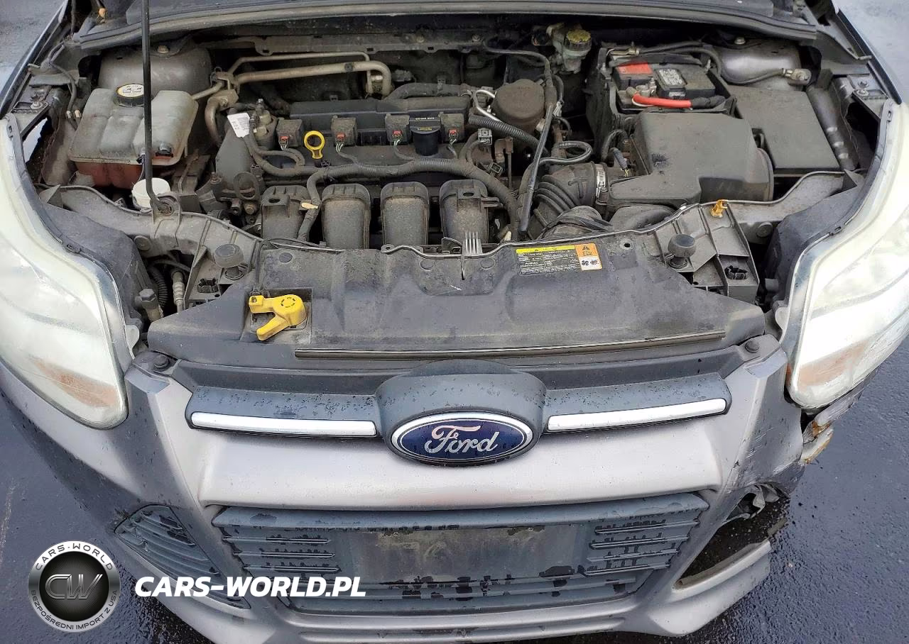 2013 Ford Focus Se VIN:1FADP3K29DL167559 - 11