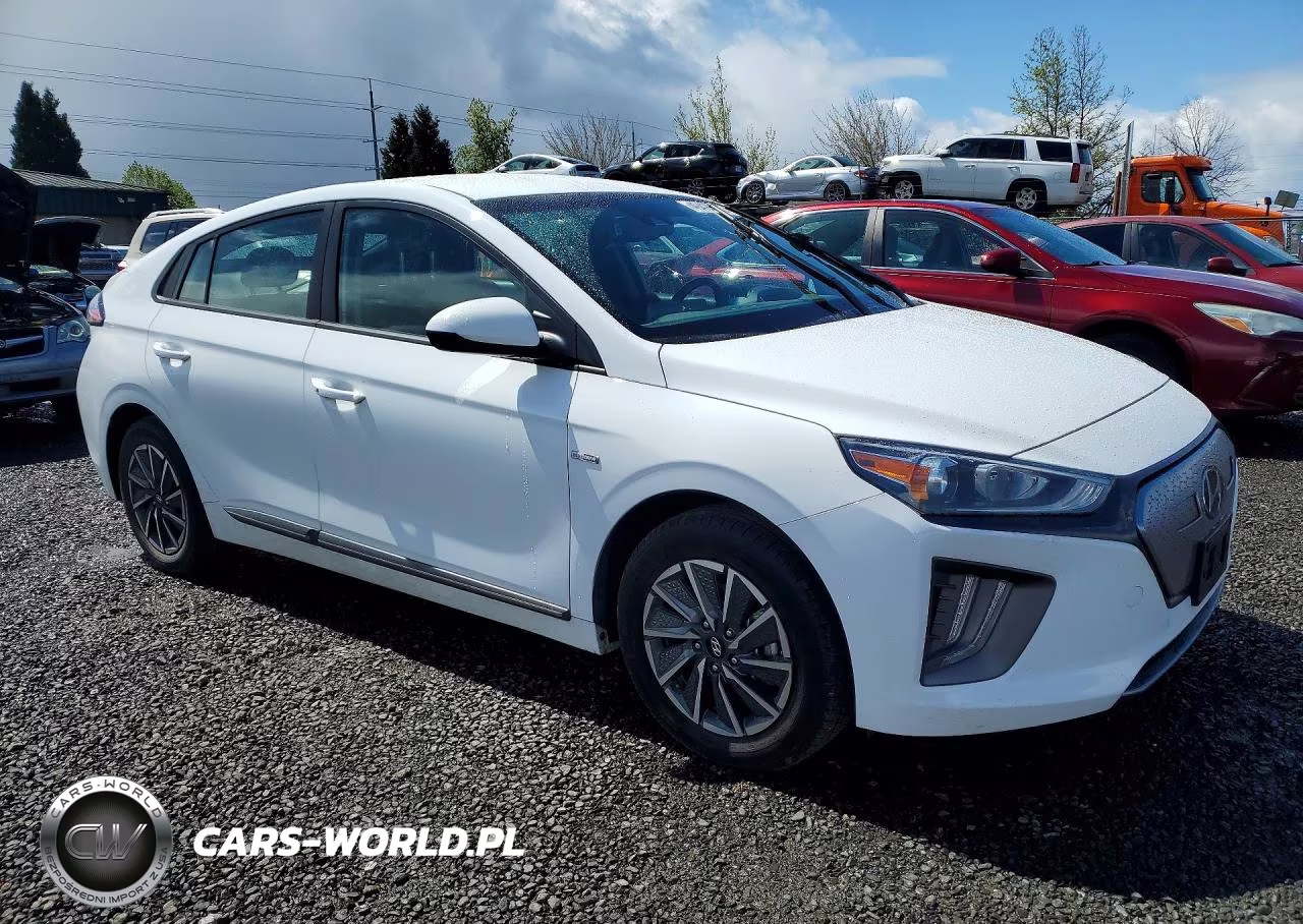2020 Hyundai Ioniq Se VIN:KMHC75LJ4LU072354 - 4