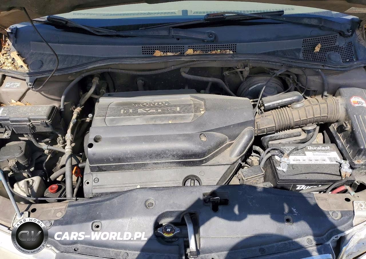 2004 Honda Odyssey Exl VIN:5FNRL18994B090800 - 12