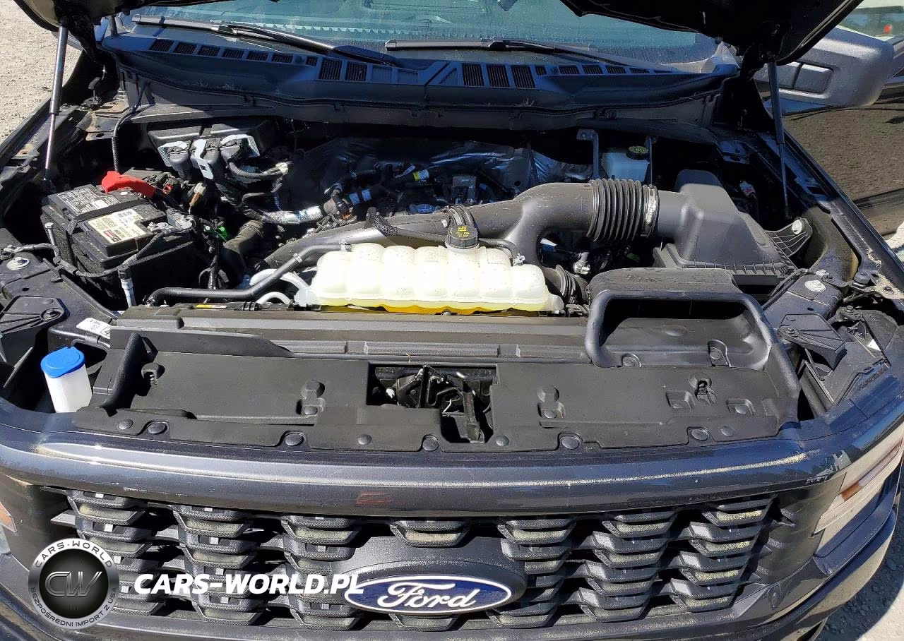 2024 Ford F150 Stx VIN:1FTEW2LP1RKE64635 - 11