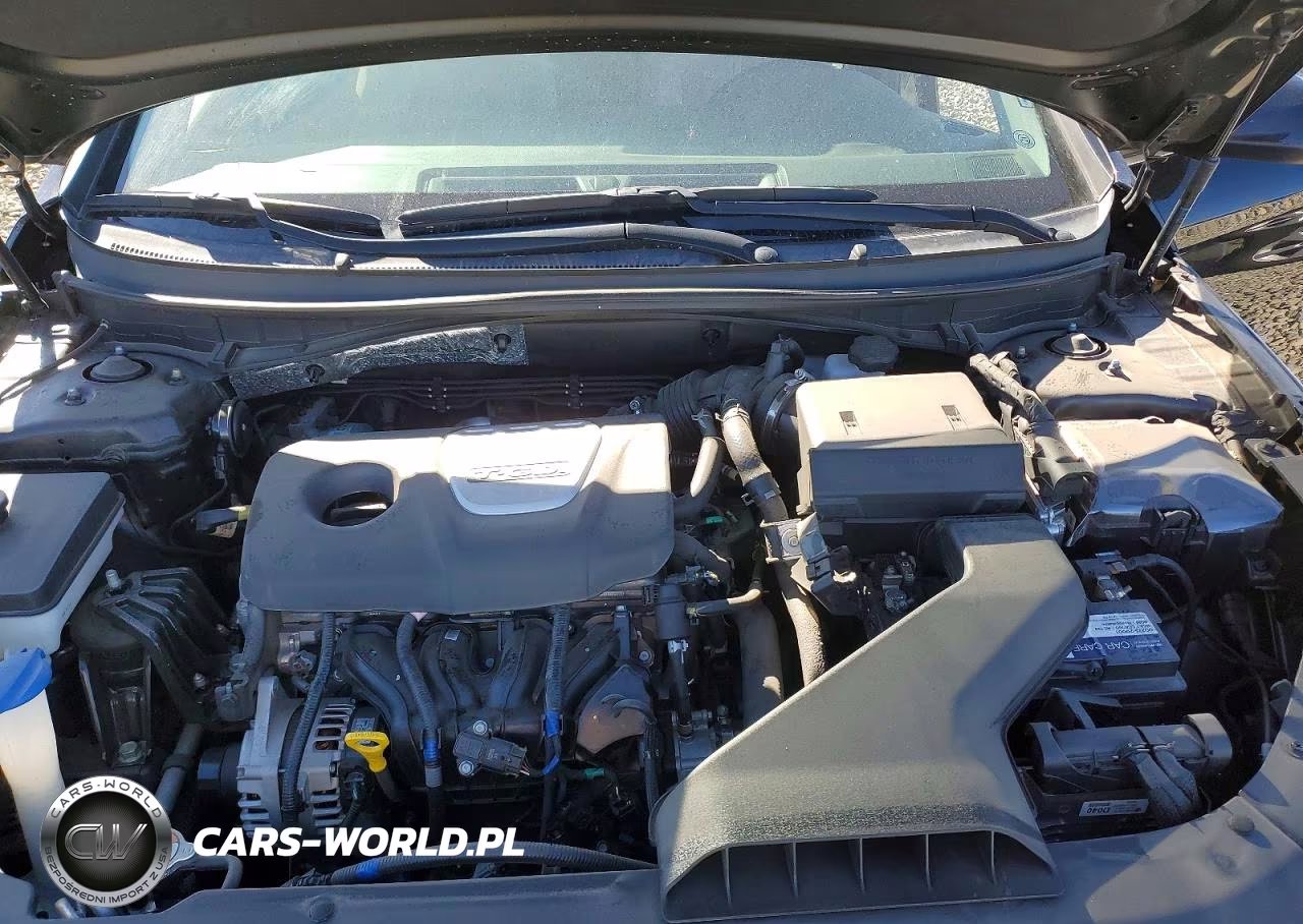 2019 Hyundai Sonata Eco Turbo VIN:5NPE24AA0KH801225 - 11