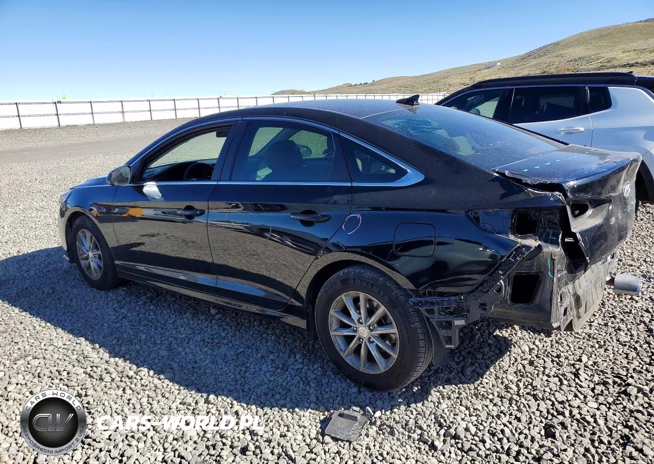 2019 Hyundai Sonata Eco Turbo VIN:5NPE24AA0KH801225 - 2