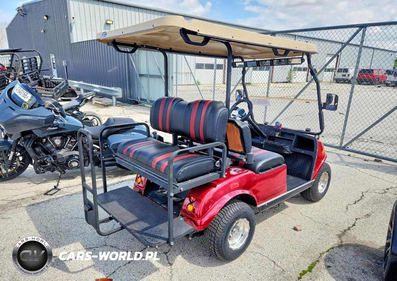 2018 Evolution Golf Cart VIN:1H9H408226J056812 - 4