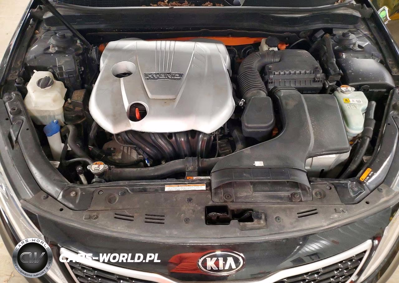 2013 Kia Optima Hybrid VIN:KNAGM4AD5D5052290 - 11