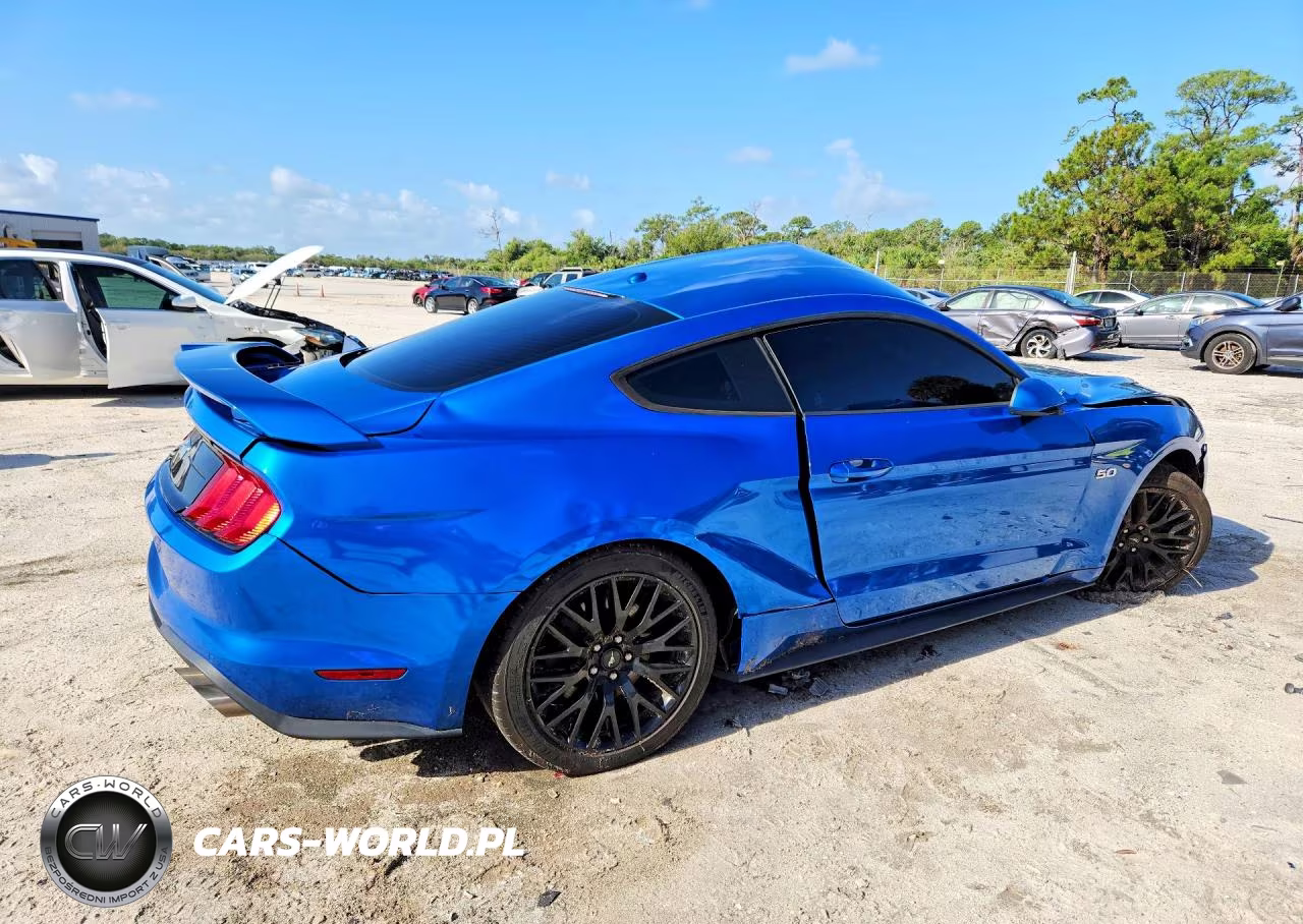 2019 Ford Mustang Gt VIN:1FA6P8CFXK5133123 - 3