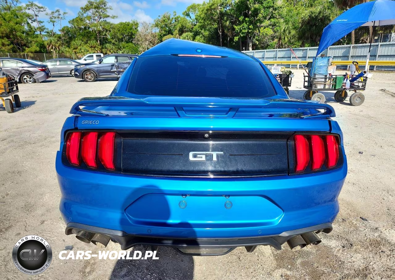 2019 Ford Mustang Gt VIN:1FA6P8CFXK5133123 - 6