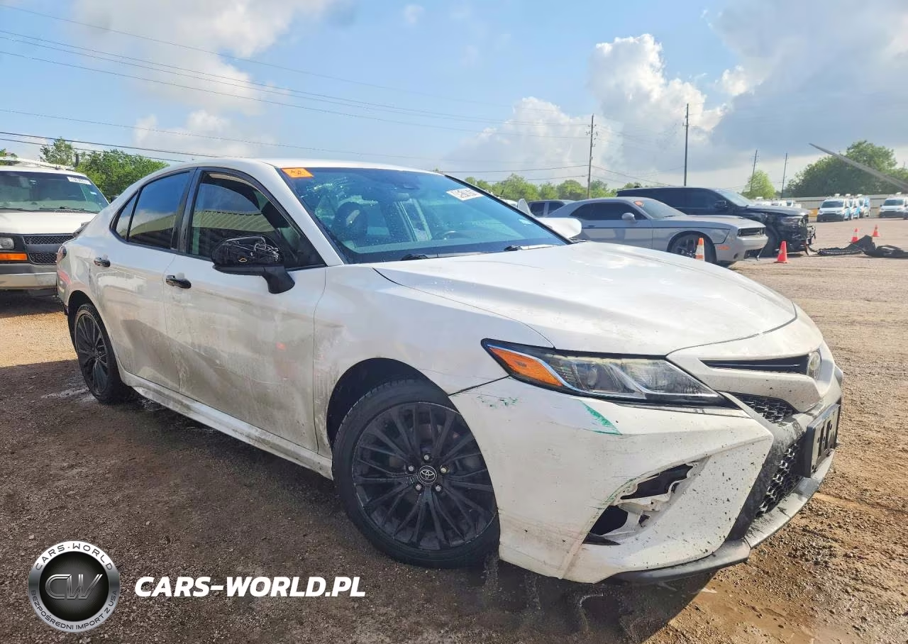 2019 Toyota Camry Se VIN:4T1B11HKXKU265730 - 4