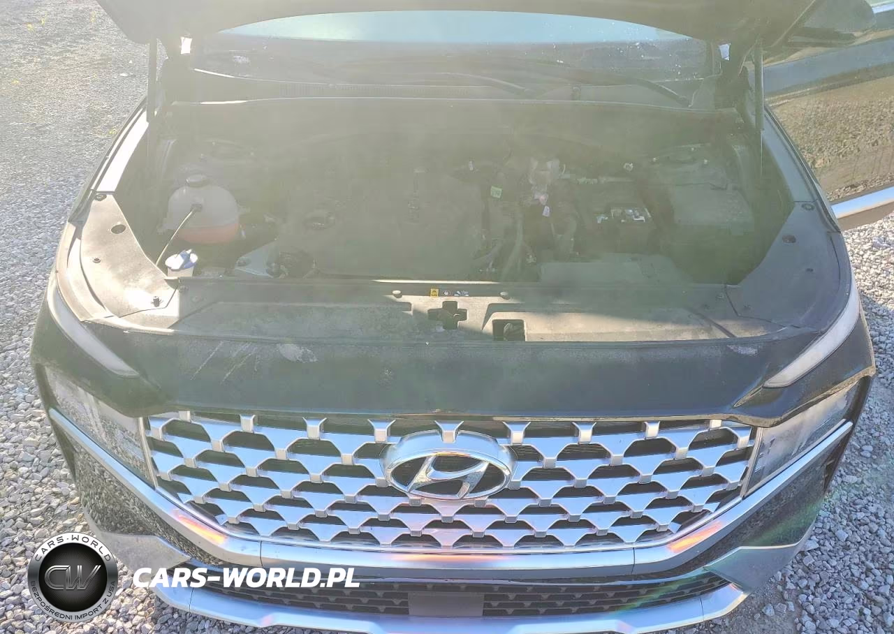 2022 Hyundai Santa Fe Sel VIN:5NMS2DAJ4NH425343 - 12