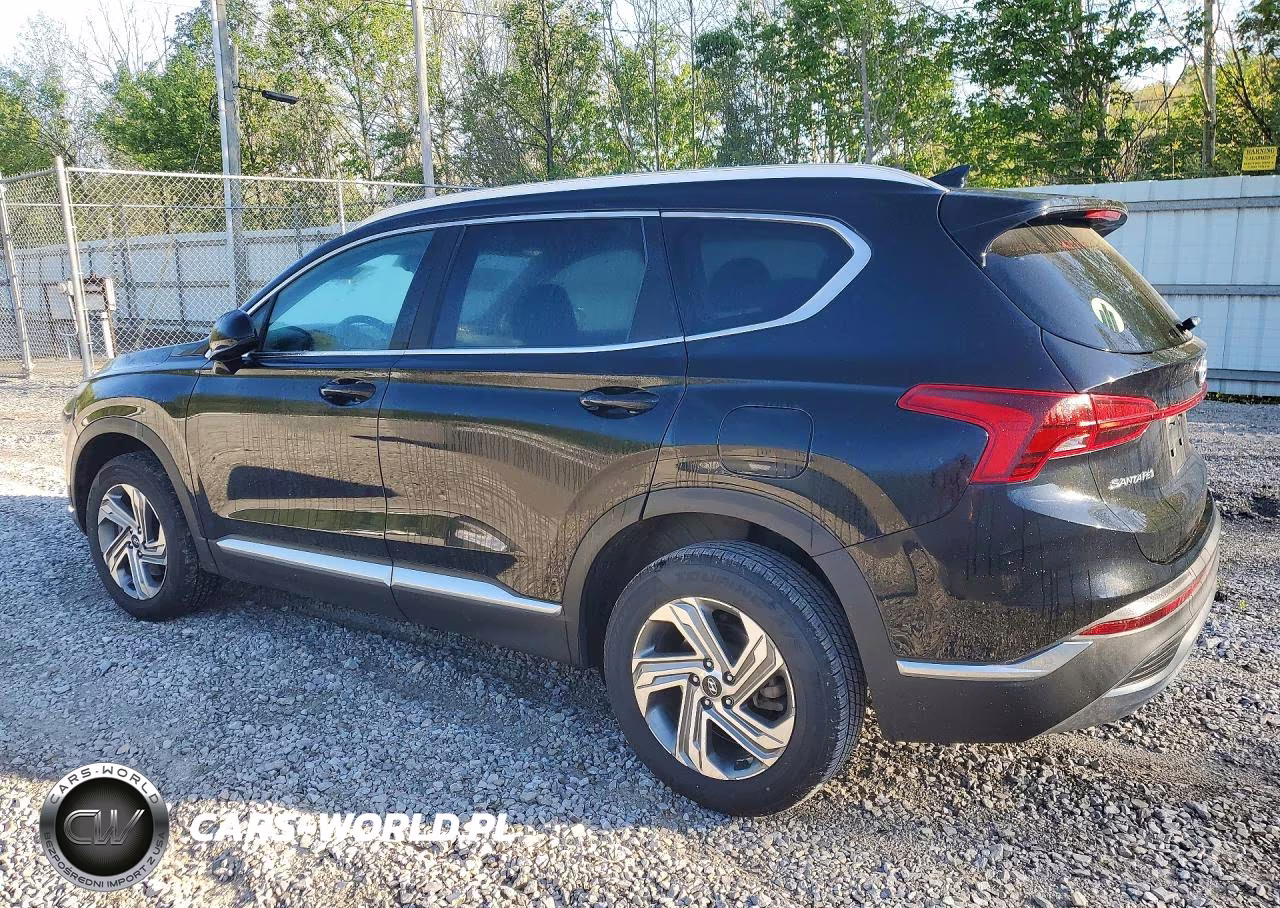 2022 Hyundai Santa Fe Sel VIN:5NMS2DAJ4NH425343 - 2