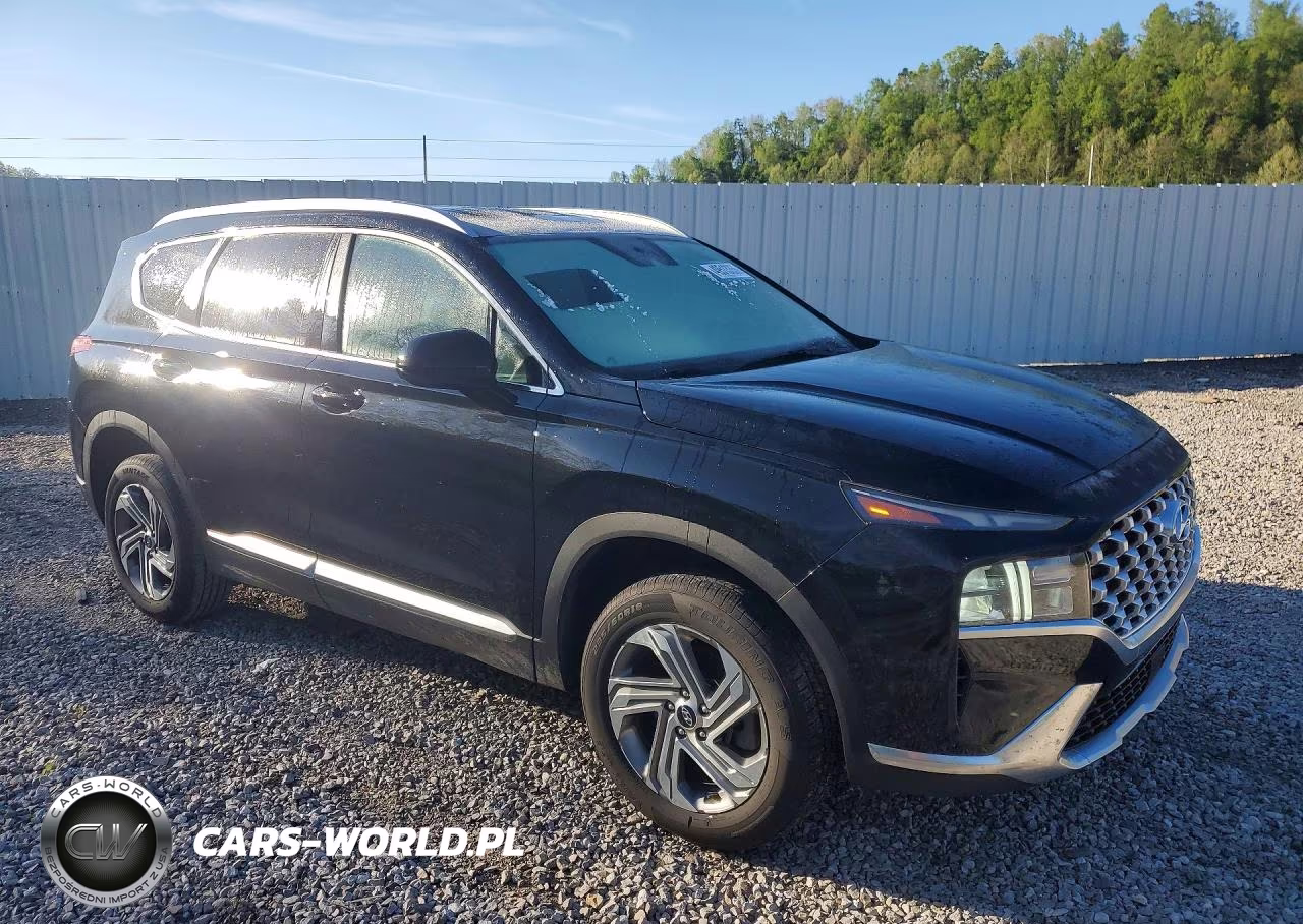 2022 Hyundai Santa Fe Sel VIN:5NMS2DAJ4NH425343 - 4
