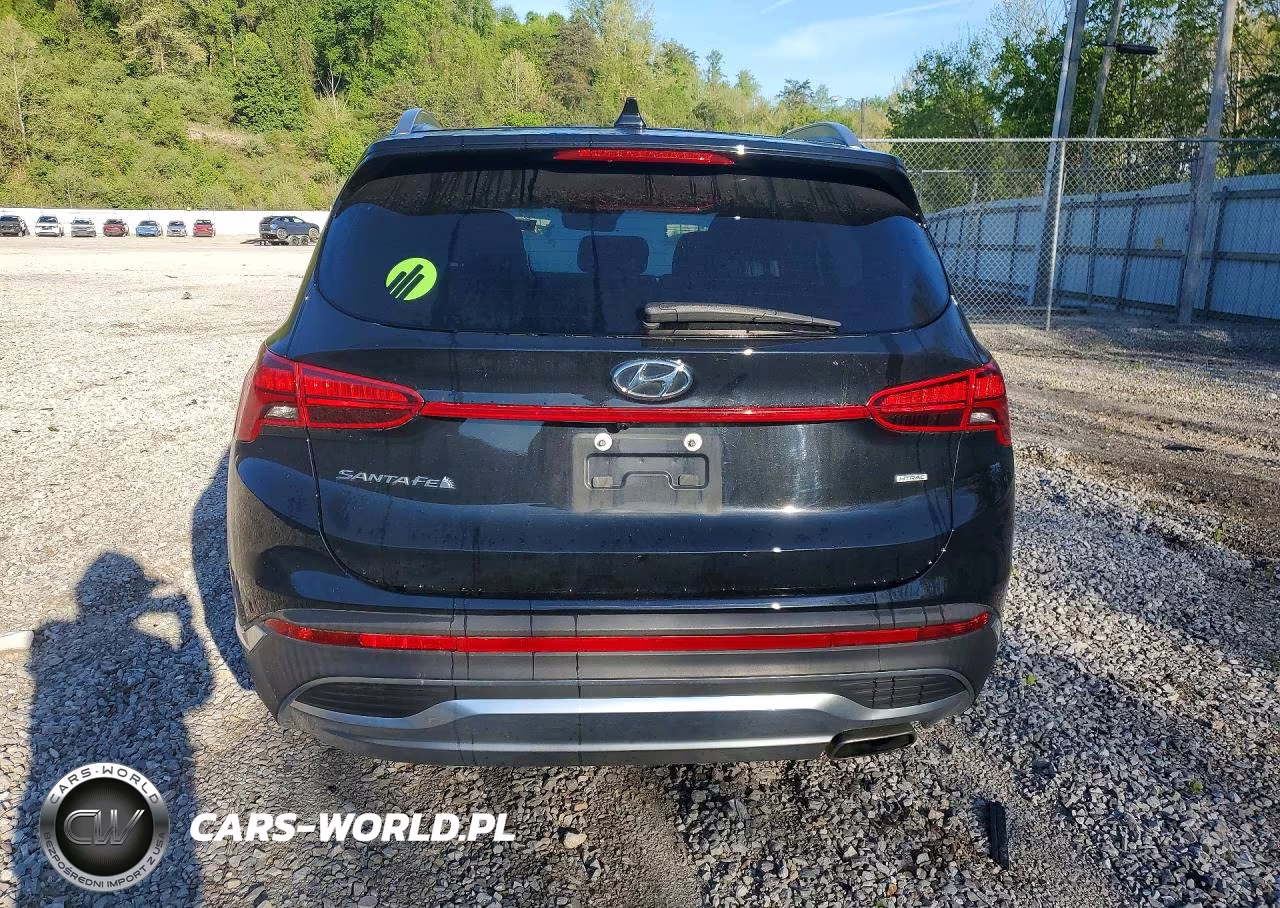 2022 Hyundai Santa Fe Sel VIN:5NMS2DAJ4NH425343 - 6